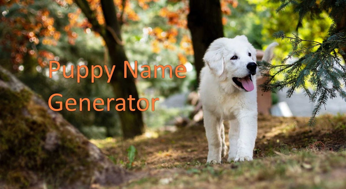Leveraging Puppy Name Generators Effectively to Discover Your Pups Perfect Name