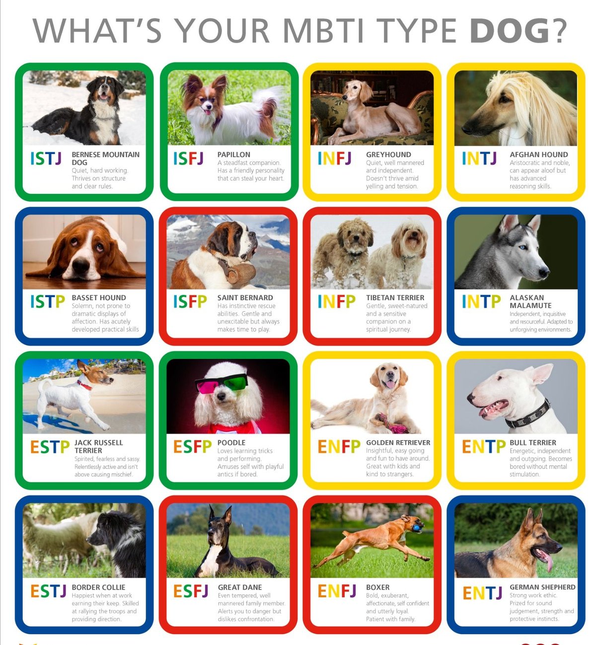 Finding Names Based on Puppy Personality and Appearance