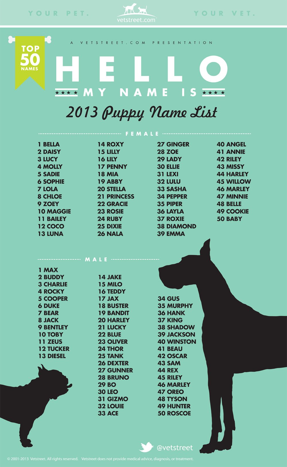 Popular & Trending Puppy Names Show Whats Inspiring New Pet Parents
